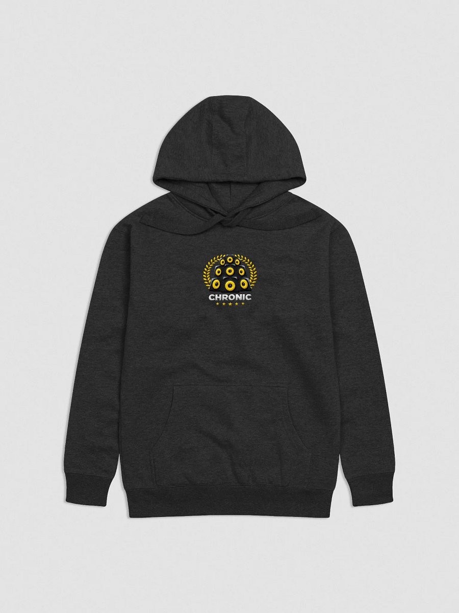 Chronic Sound Hoodie product image (9)