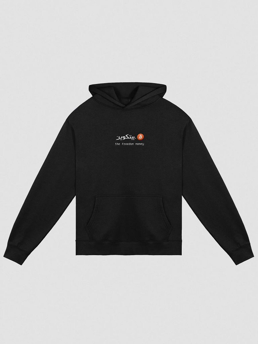 THE FREEDOM MONEY OVERSIZED HOODIE product image (3)
