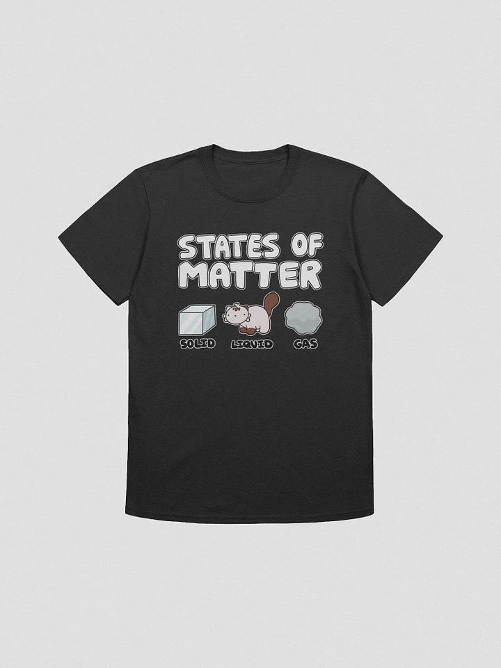 States of Matter: Solid, Cat, Gas - Chipflake Artwork Tee (Unisex) product image (1)