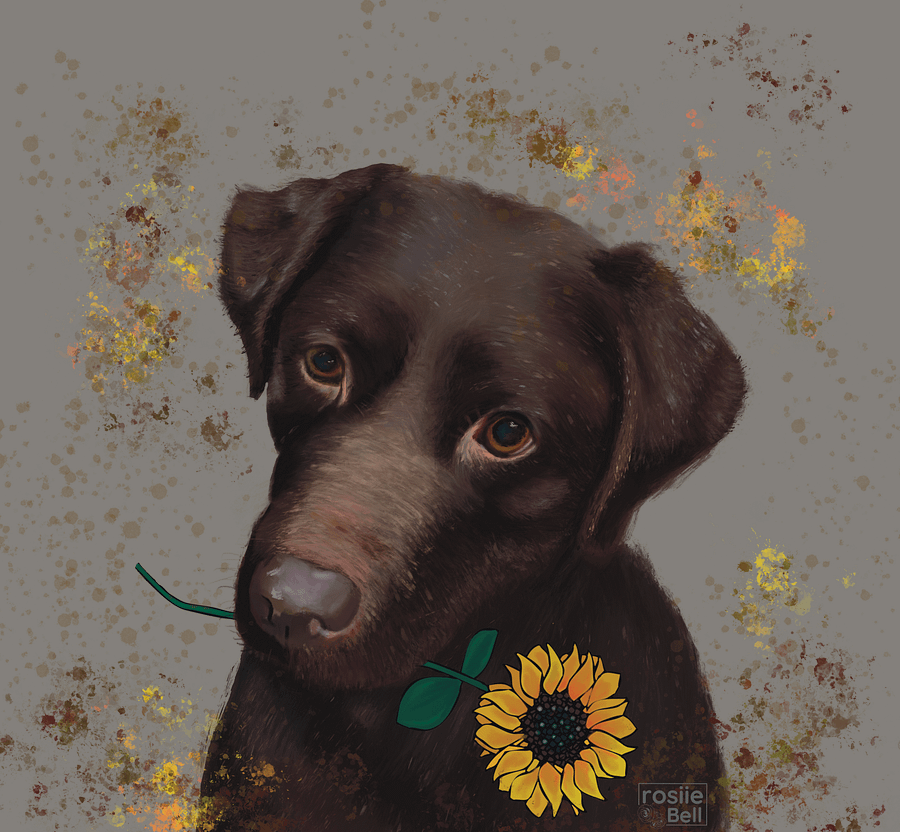 Chocolate Labrador product image (1)
