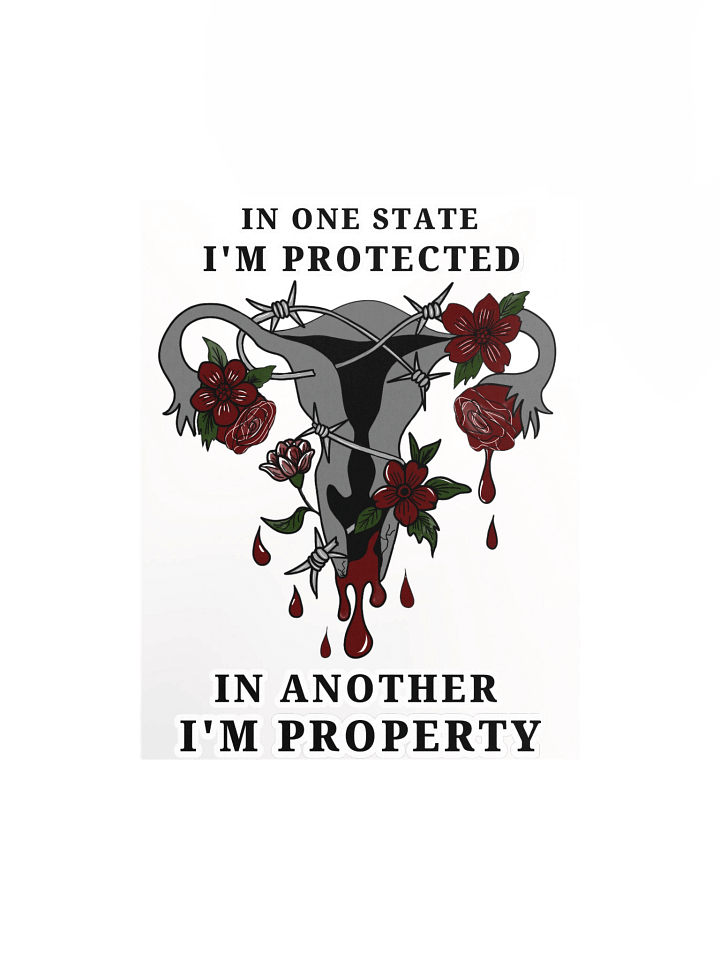 “In One State, I’m Protected — In Another, I’m Property” Poster product image (1)
