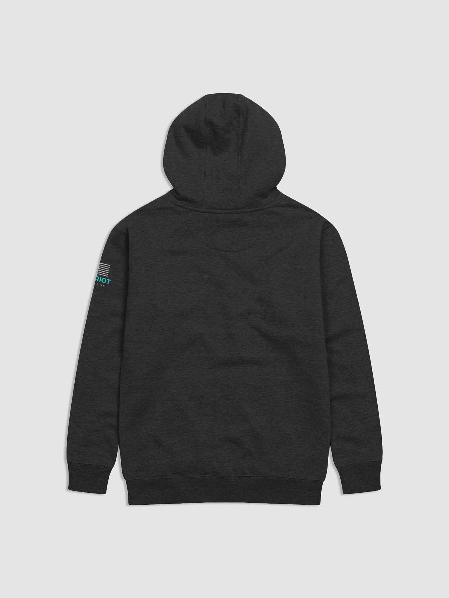 SHALL NOT COMPLY HOODIE product image (2)