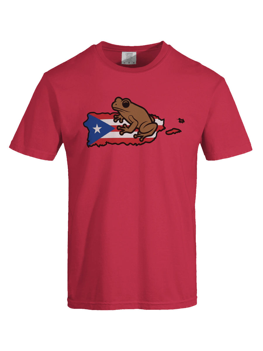 Puerto Rican Flag & Coqui T-Shirt product image (89)