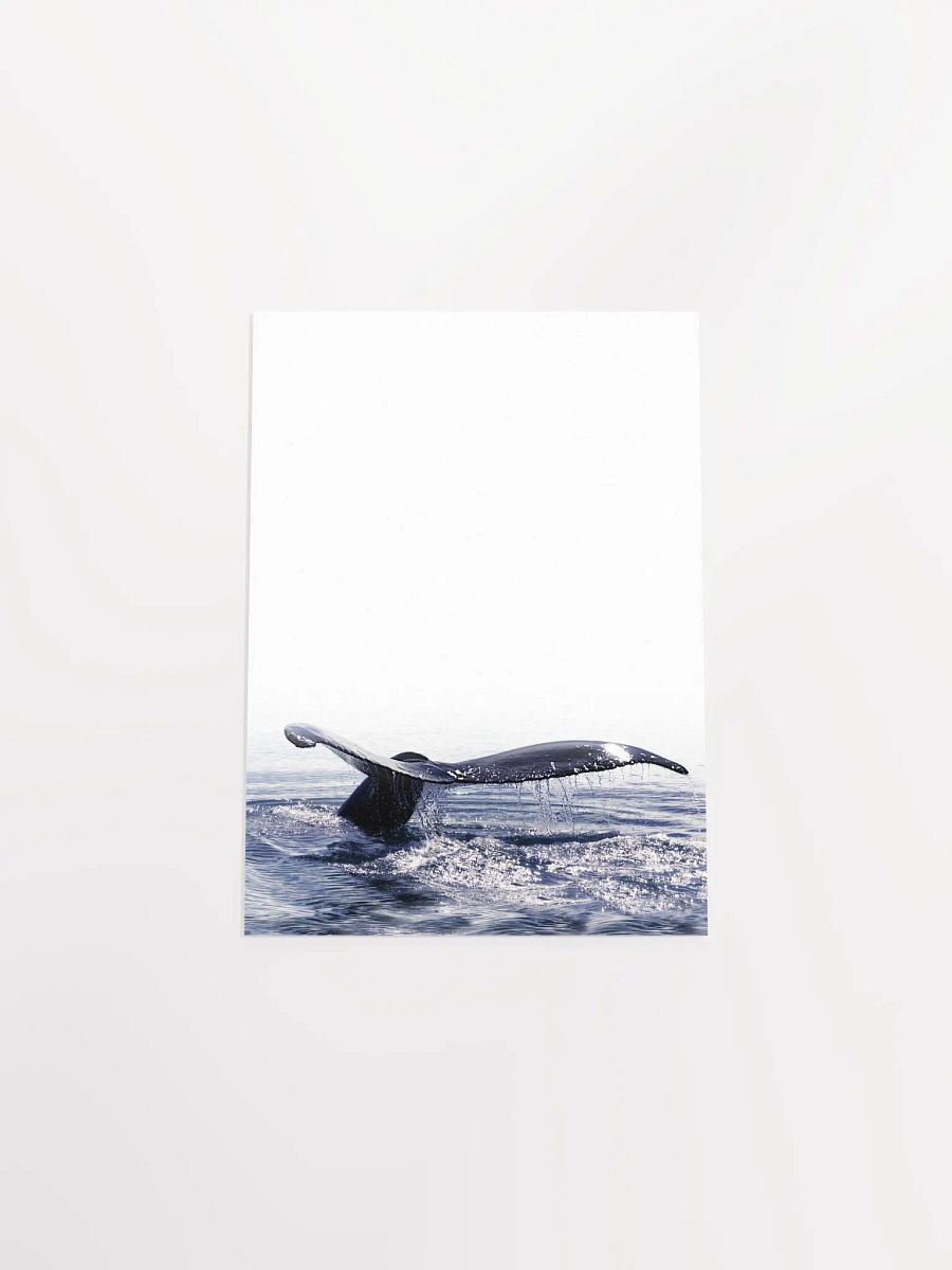 Whale Tail Dive Poster product image (55)