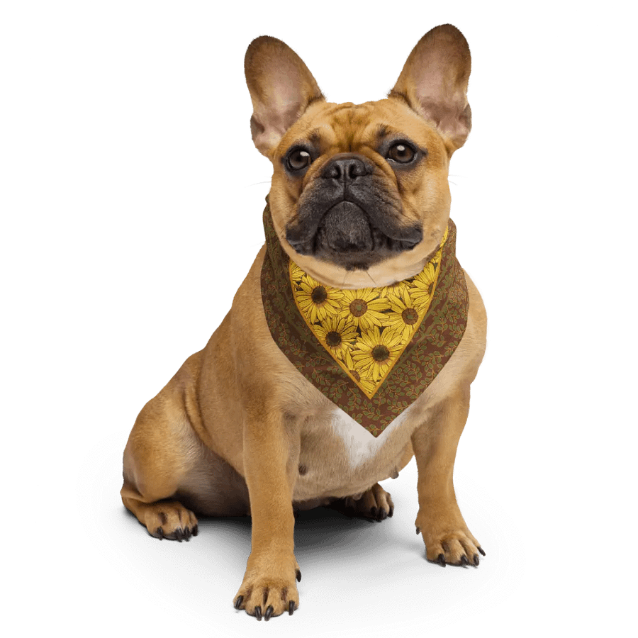 “Pure Helianthus Sunflower” Bandana in Red and Green product image (5)