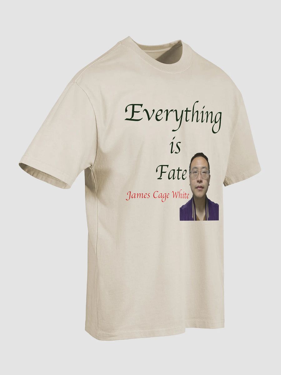 AS Colour Premium Oversized Faded T-Shirt: fate product image (25)