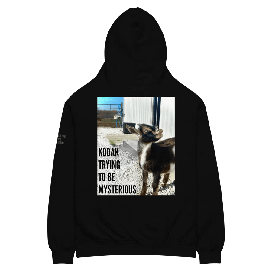 Over Sized Hoodie ft. Kodak product image (1)