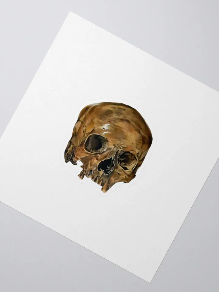 Skull Sticker product image (2)
