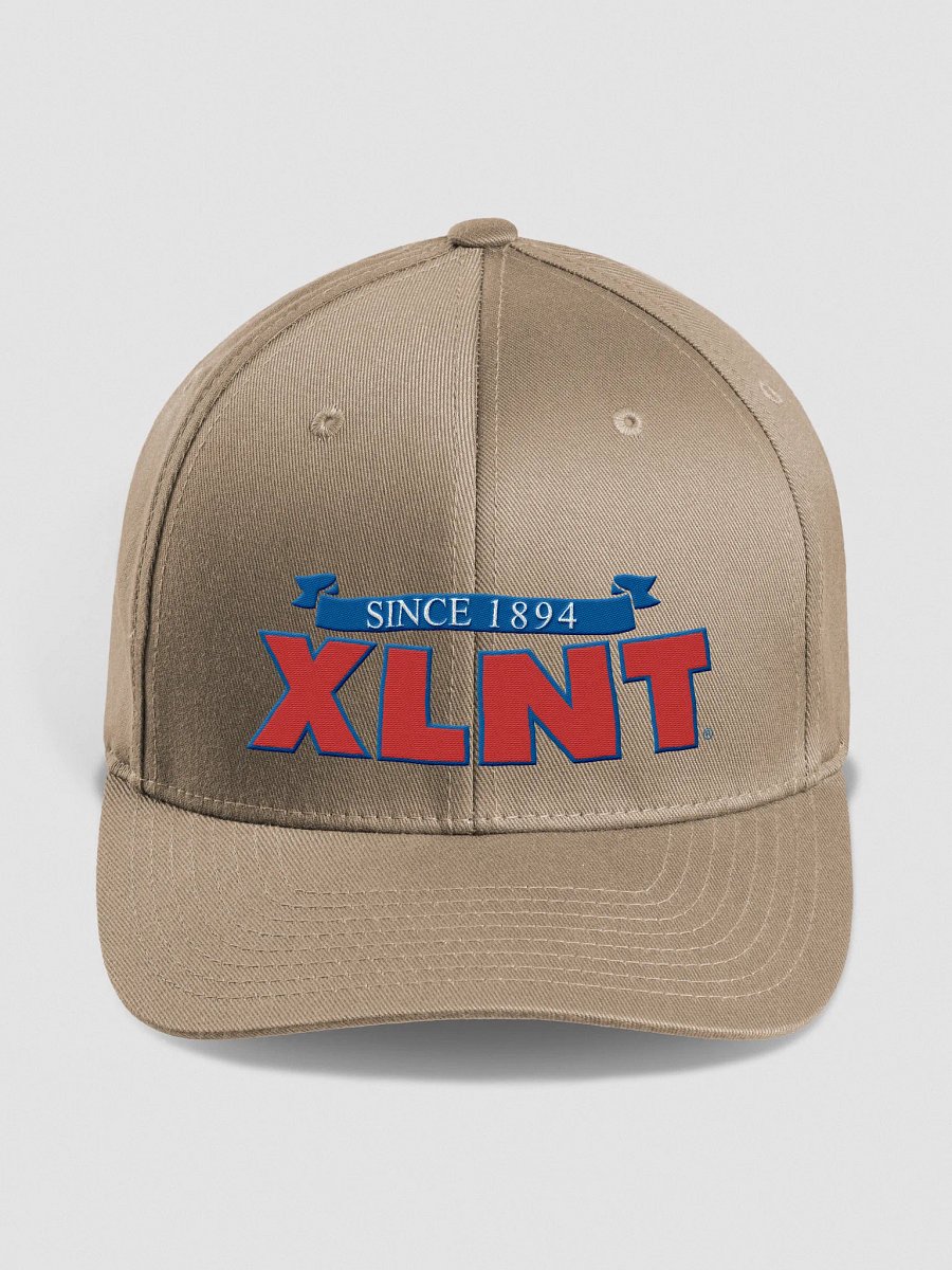 XLNT Foods Flexfit Logo Hat product image (1)
