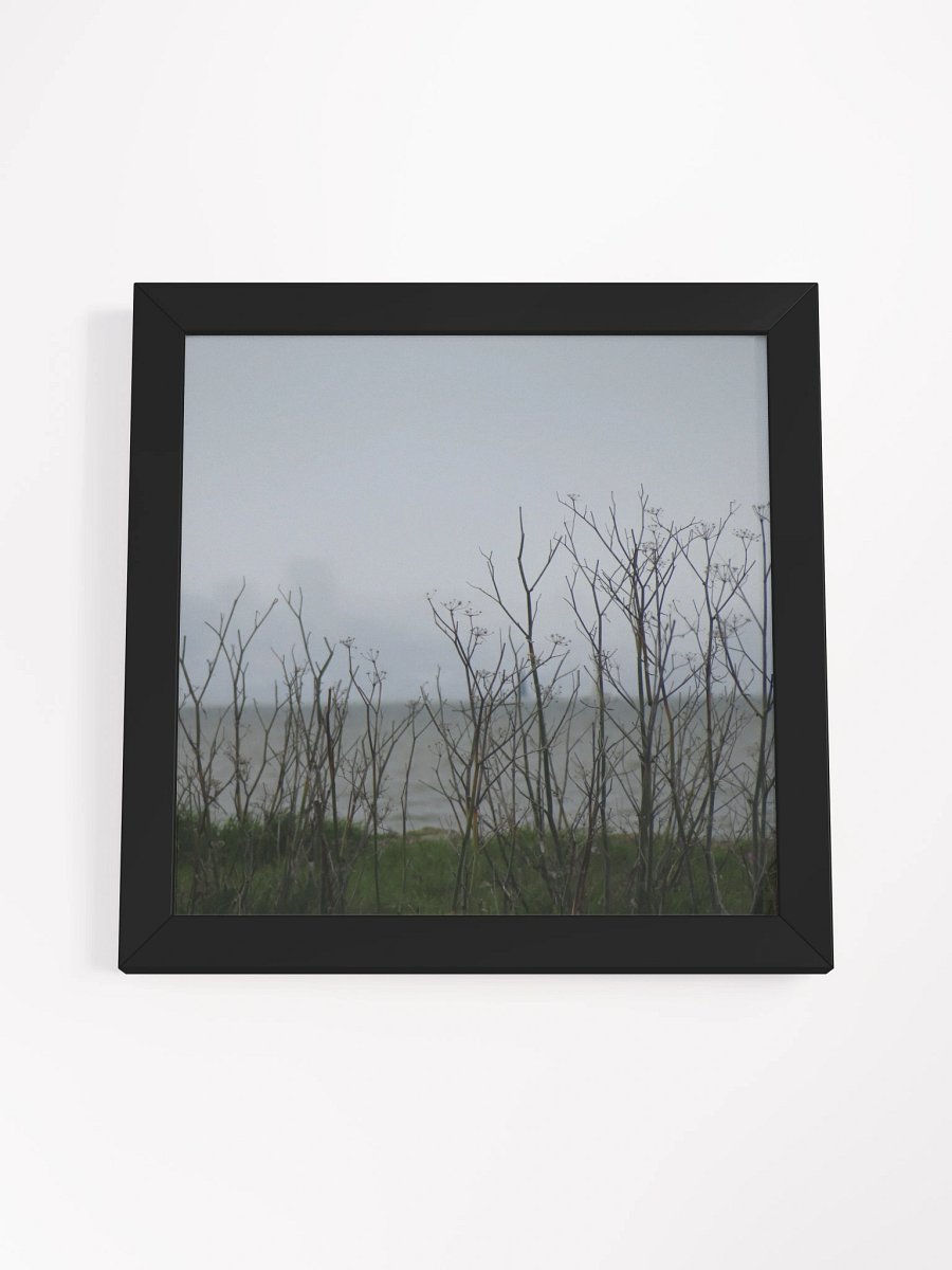 Fog Fennel product image (29)