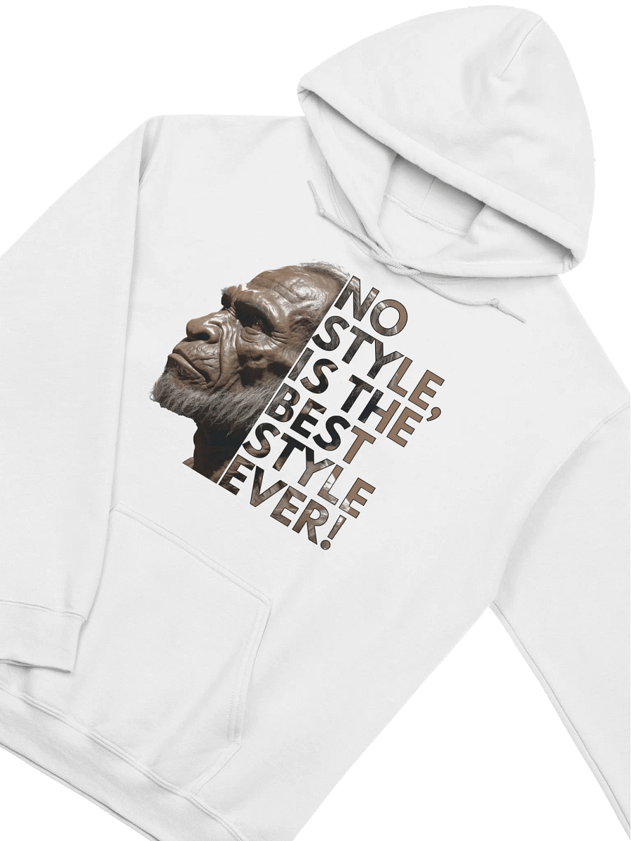 No Style Vibes Hoodie product image (10)