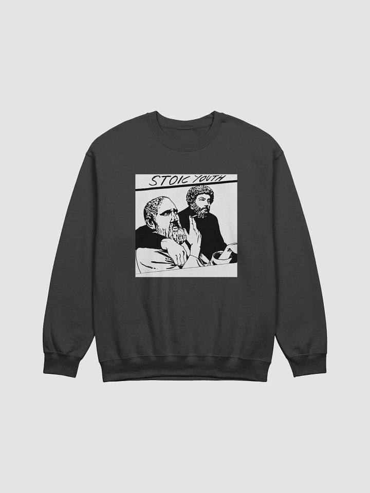 Stoic Youth Gildan Classic Crewneck Sweatshirt product image (1)