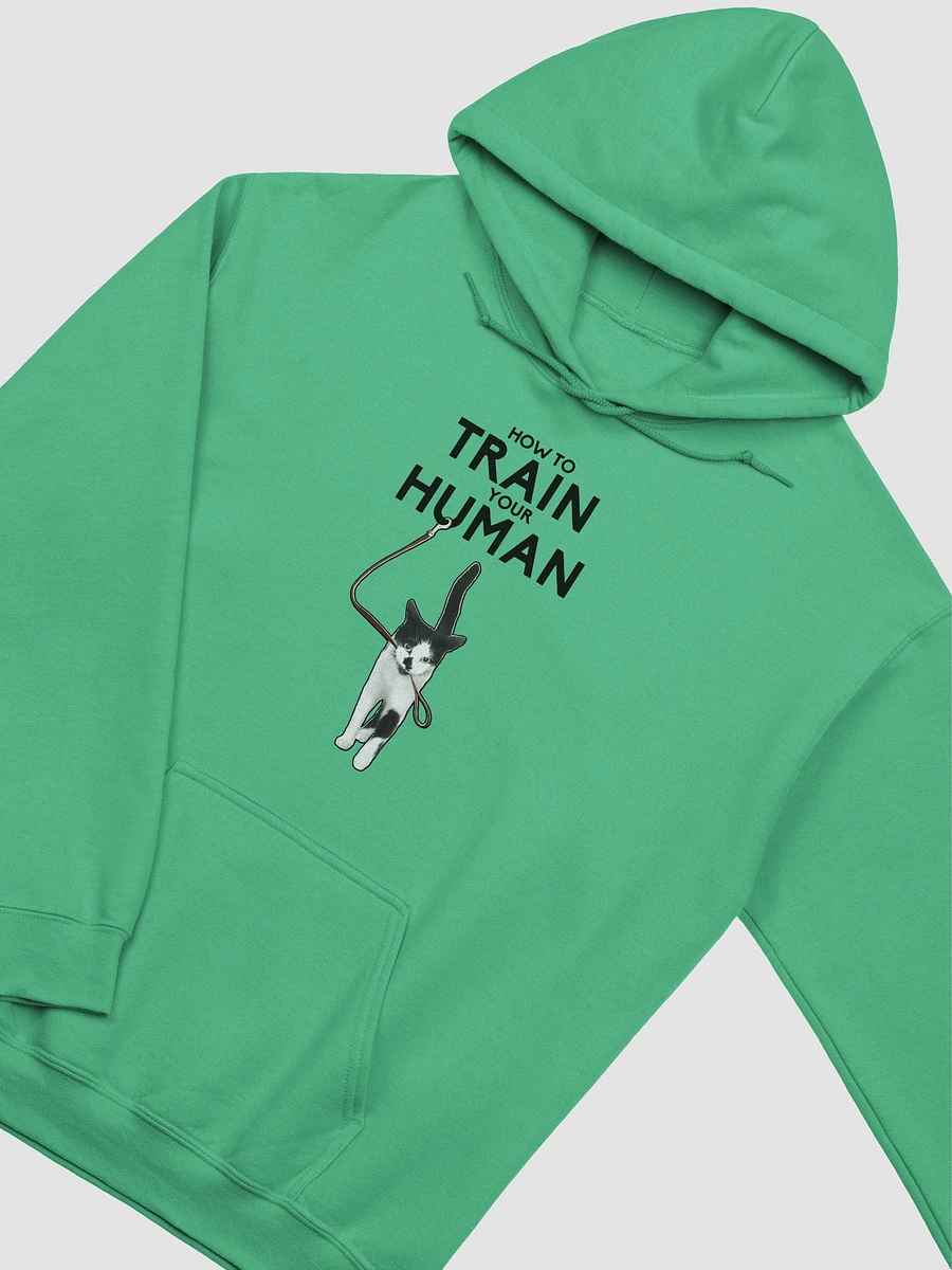 How to Train Your Human Hoodie product image (8)