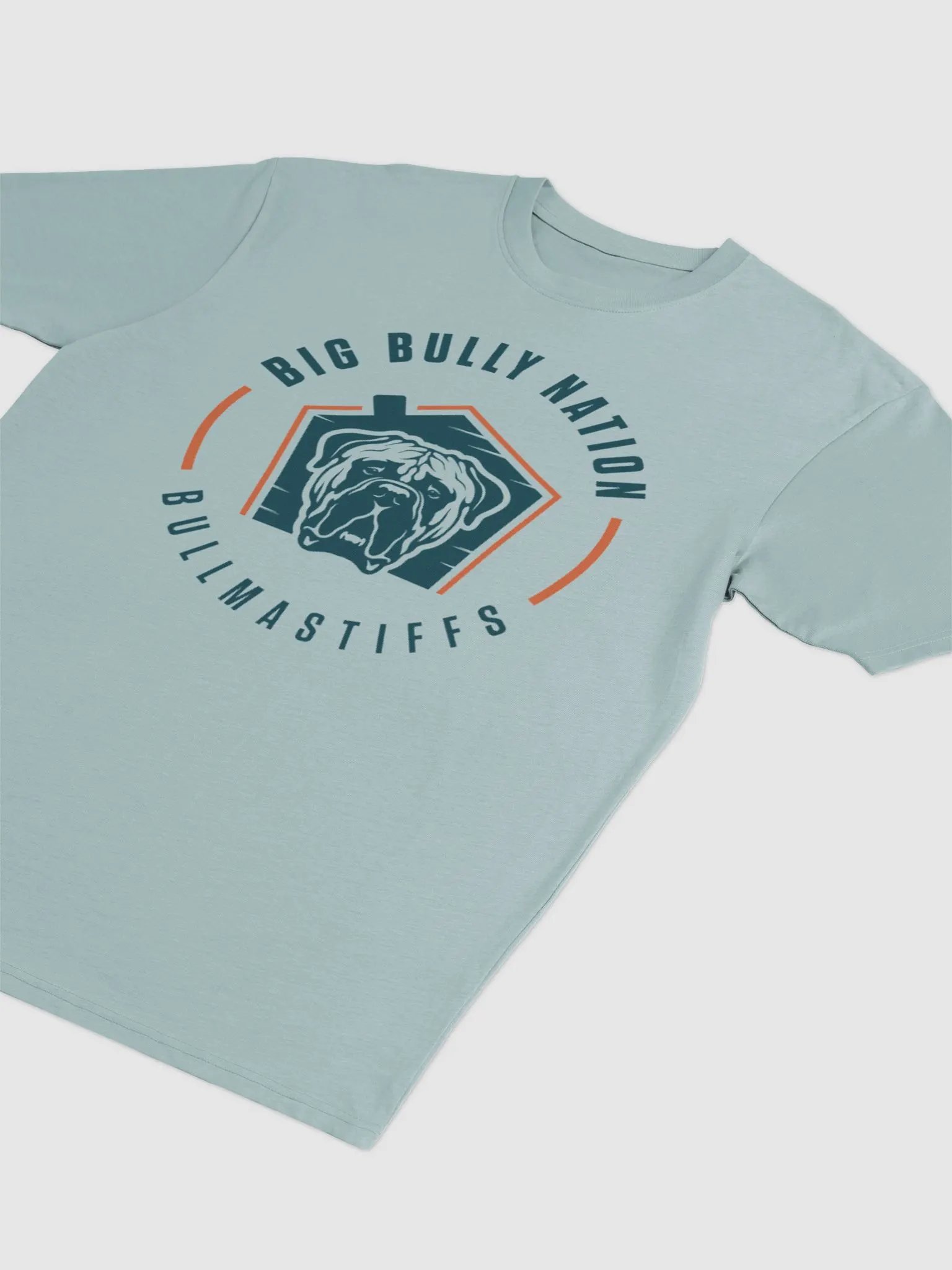 BBN Logo 2 Men's Tee product image (17)