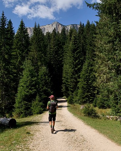 Montenegro ⛰️🌼

Sono appena usciti sul nostro canale YouTube i 3 video dedicati a questo bellissimo Paese che abbiamo visitat...