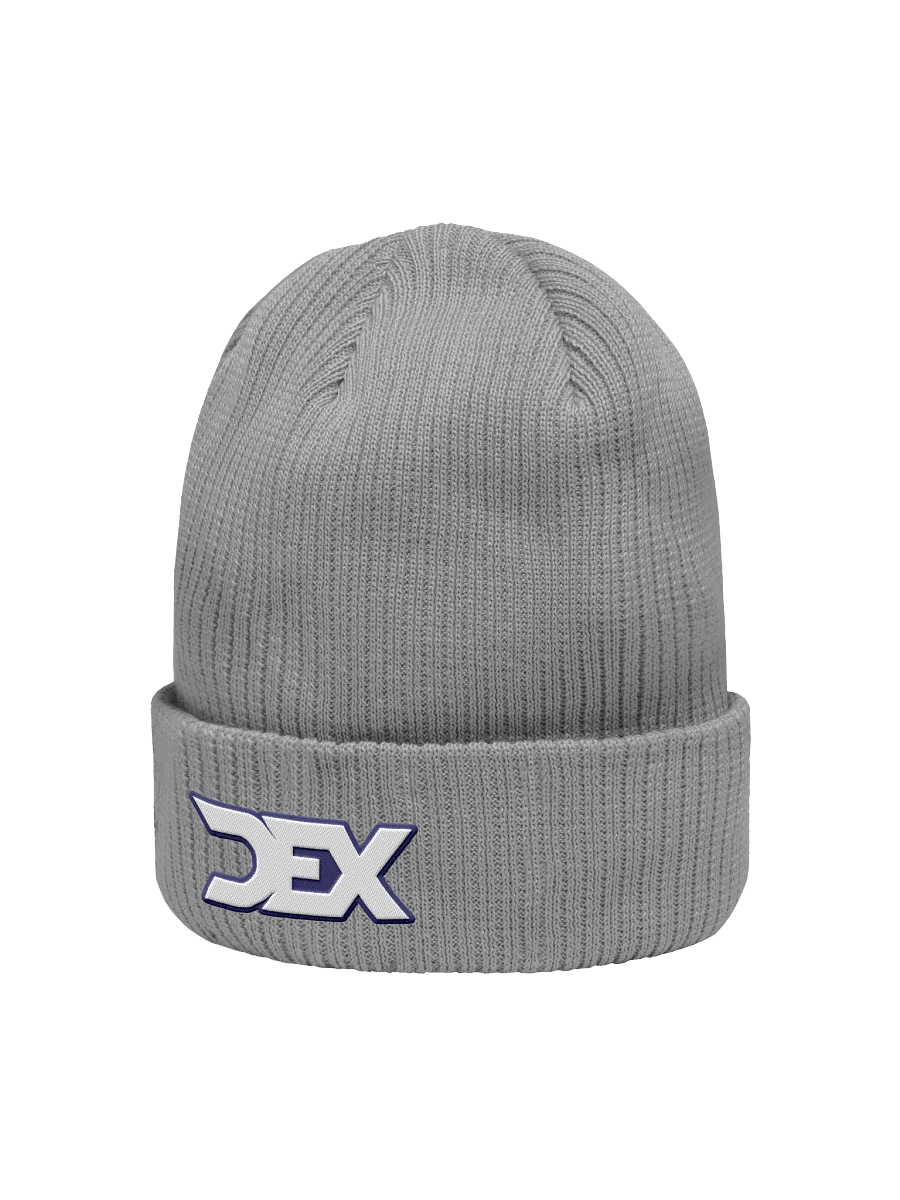 Winter Beanie - Gray product image (2)