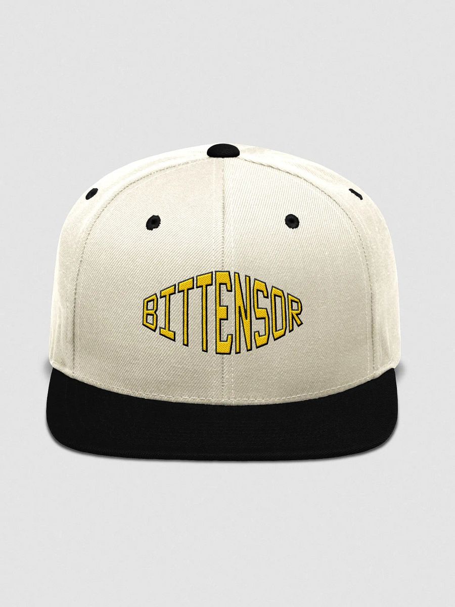 (5/20) Bittensor Cap product image (1)