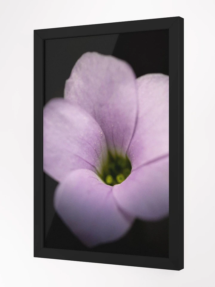 Violet in Black product image (3)