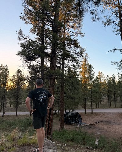 NEW VIDEO IS LIVE!

We found the best free boondocking spot we’ve ever stayed at…just outside the Grand Canyon. Wild horses i...