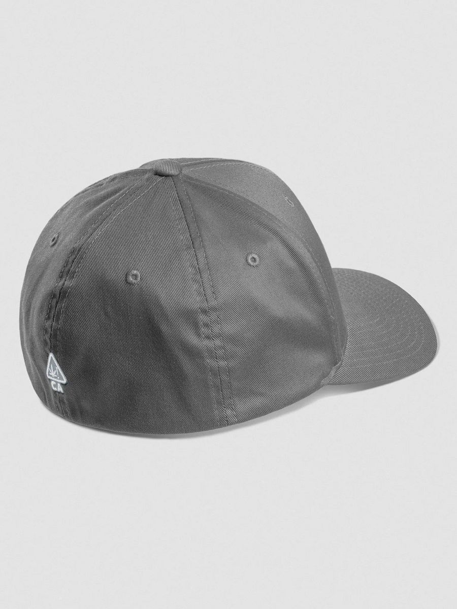 HA9N Official Logo Embroidered Premium Fitted Hat product image (3)