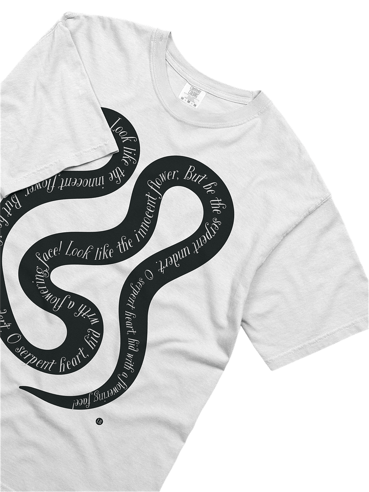Serpent's Verse Heavyweight Tee product image (2)