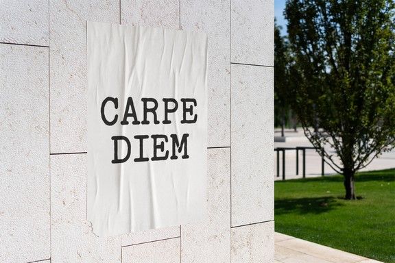 Carpe Diem Seize the Day Poster product image (4)