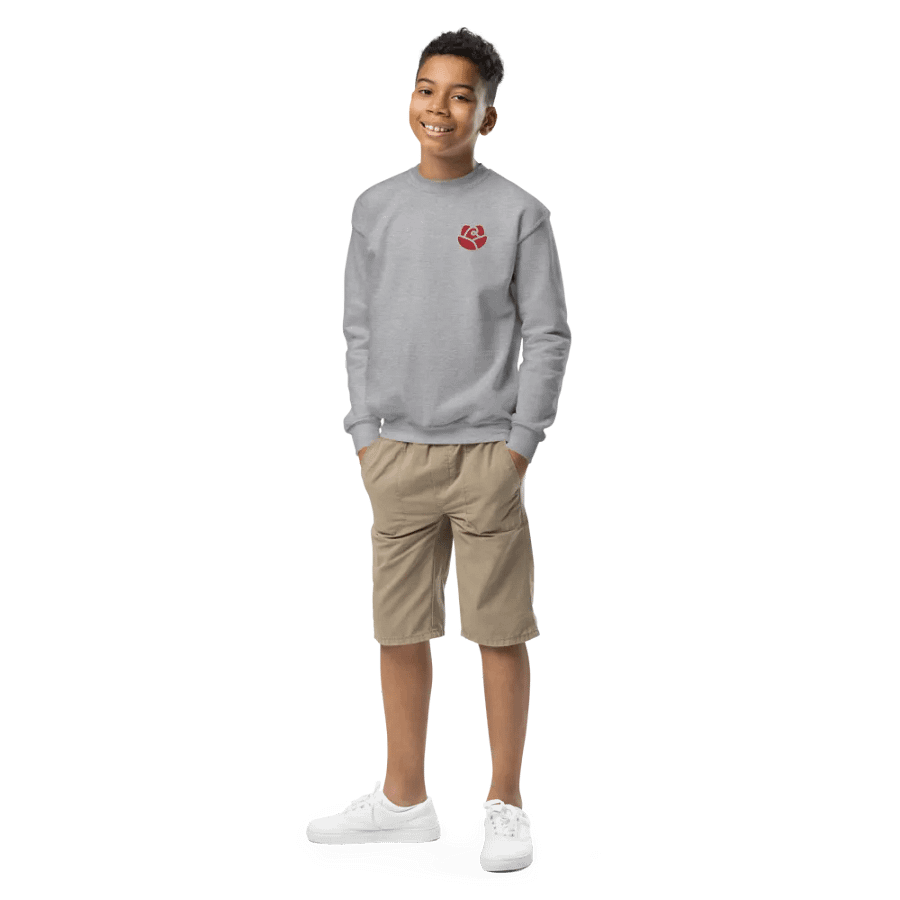 Gildan Youth Crew Neck Sweatshirt product image (1)