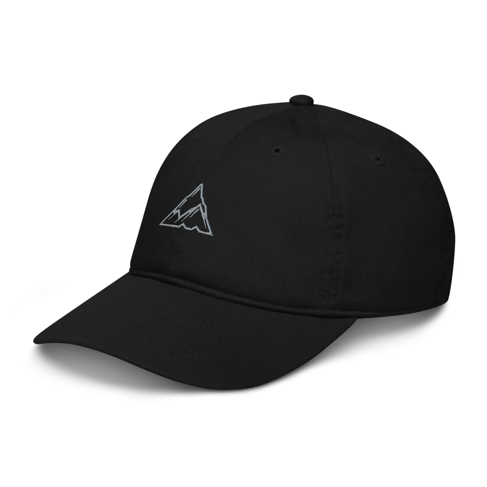 MOMENTUM Organic Dad Hat product image (3)