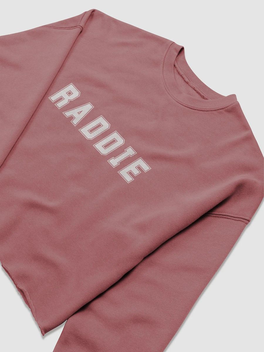 Cozy Vibes Fleece Crop Sweatshirt - RADDIE (5 colors) product image (29)