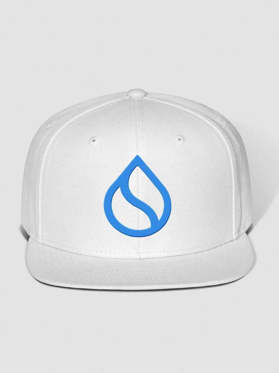 Snap back product image (2)