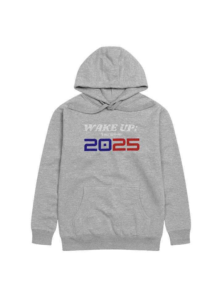 Wake up: You Are In 2025 Unisex Premium Hoodie product image (2)