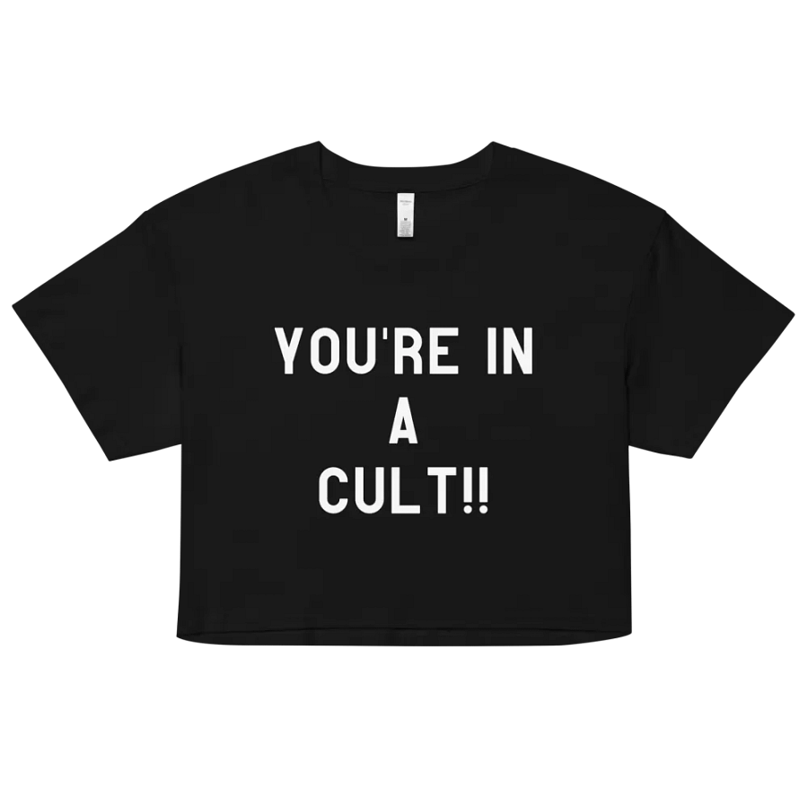 Pris- You're In A Cult - Crop Top product image (6)