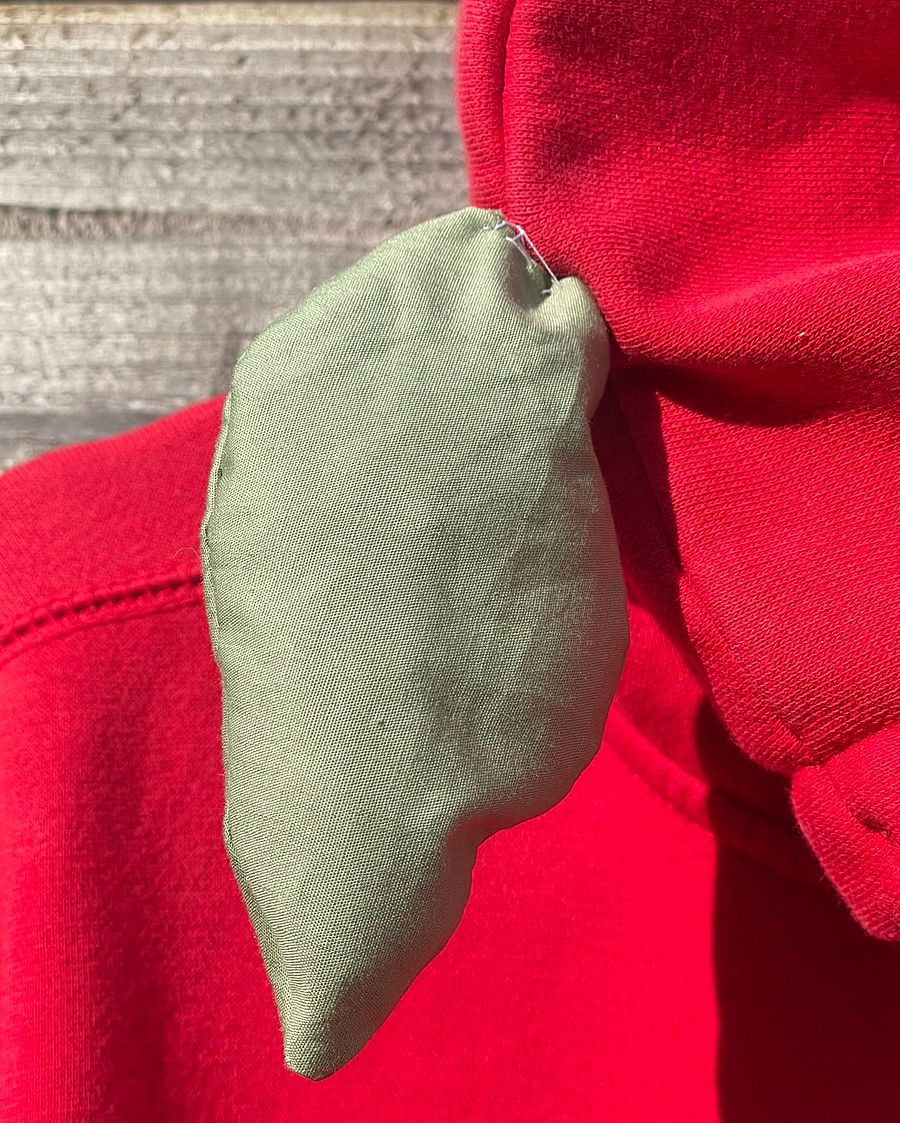 apple zip up hoodie product image (4)