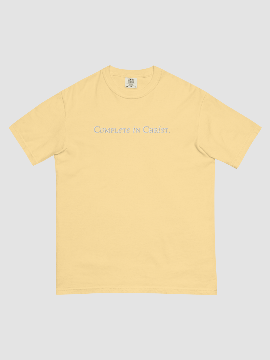 Complete in Christ Unisex Embroidered Tee product image (3)
