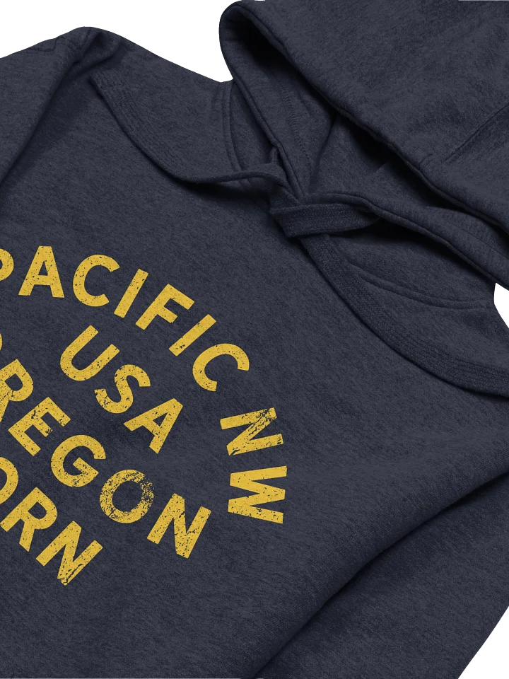 Pacific NW USA Oregon Born Hoodie product image (2)