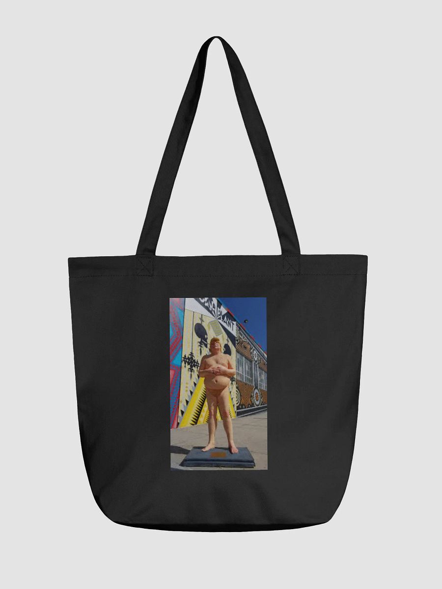 DONALD TRUMP MAKE AMERICA GREAT AGAIN product image (1)