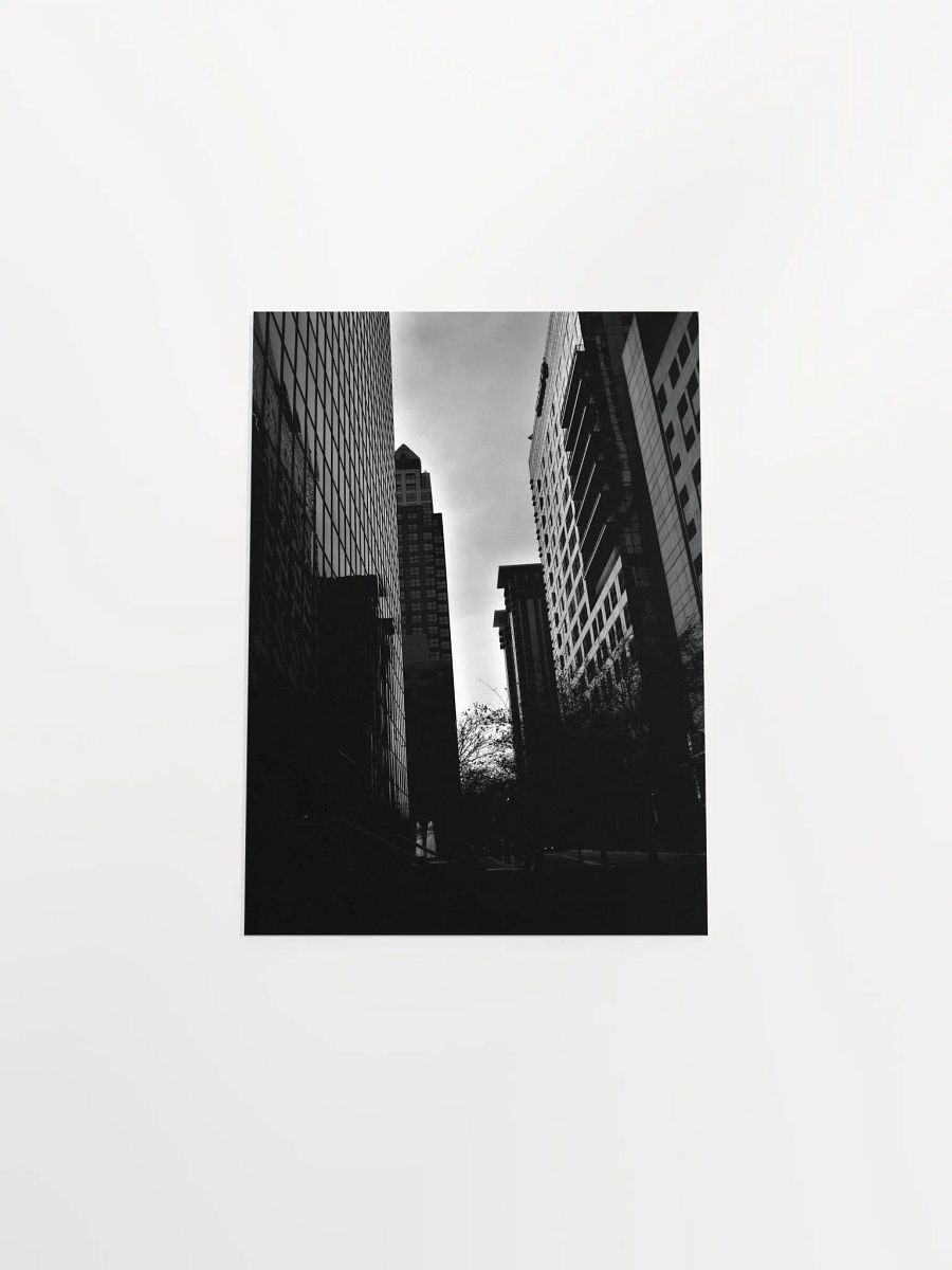 Downtown Orlando 3 product image (55)