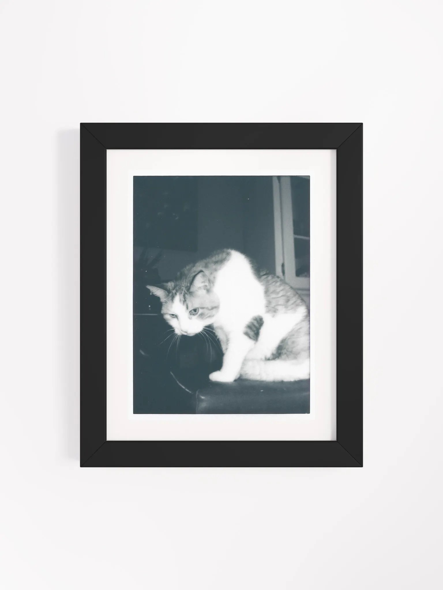 Wendell B&W product image (4)
