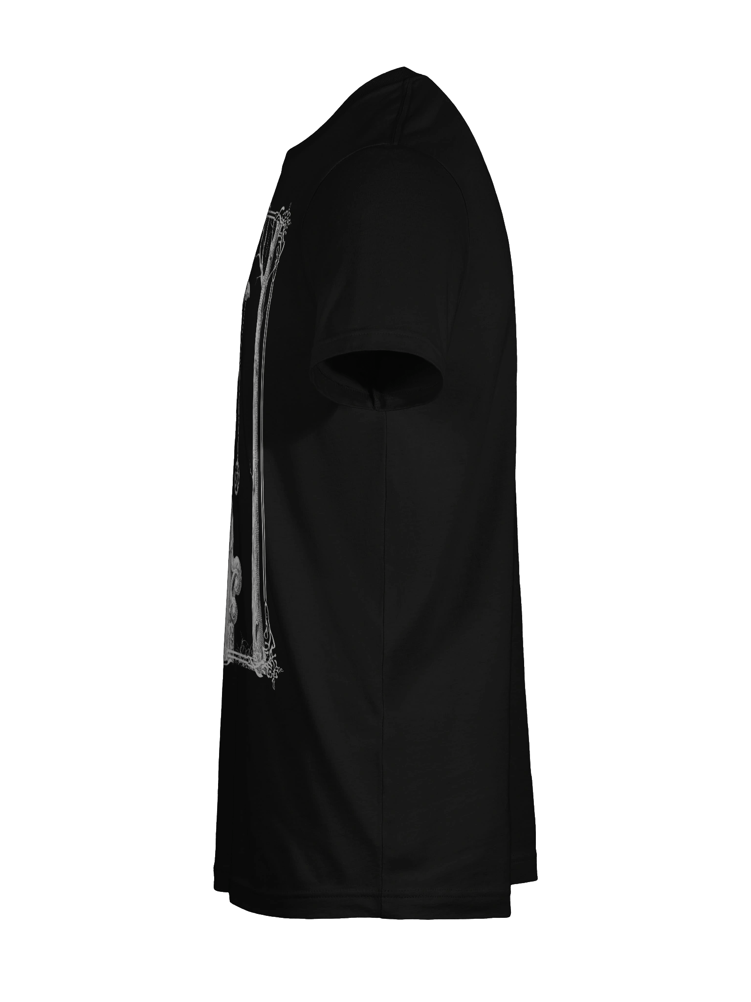 Framed Raven product image (11)