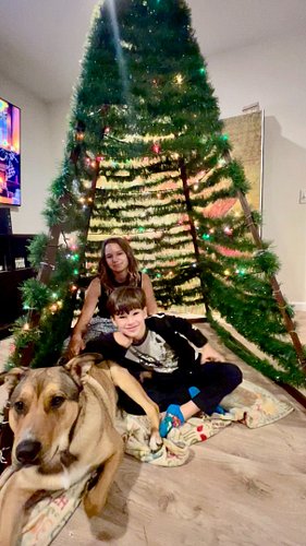 𝗪𝗲 𝗕𝘂𝗶𝗹𝘁 𝗮 𝗚𝗜𝗔𝗡𝗧 𝗖𝗵𝗿𝗶𝘀𝘁𝗺𝗮𝘀 𝗧𝗿𝗲𝗲 𝗙𝗼𝗿𝘁 🎄

Fast-motion family DIY building a tree-teepee with garland, lights, kids dancing, and...