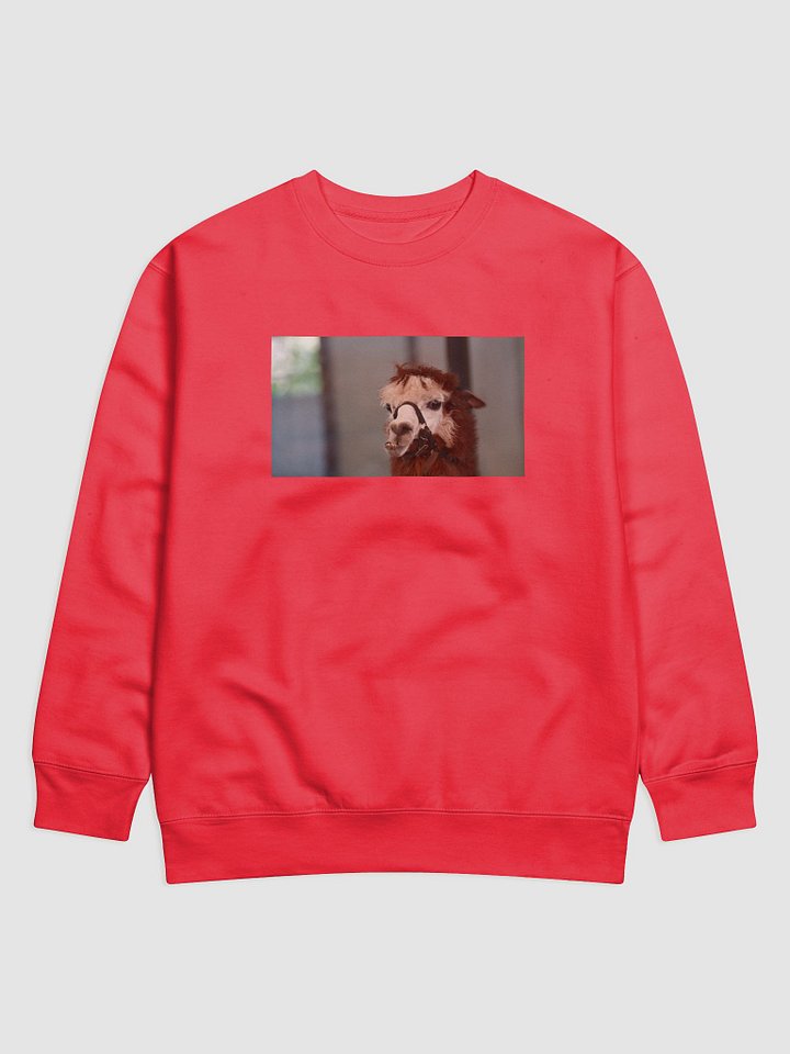 Halter-Clad Llama Cotton Sweatshirt product image (1)