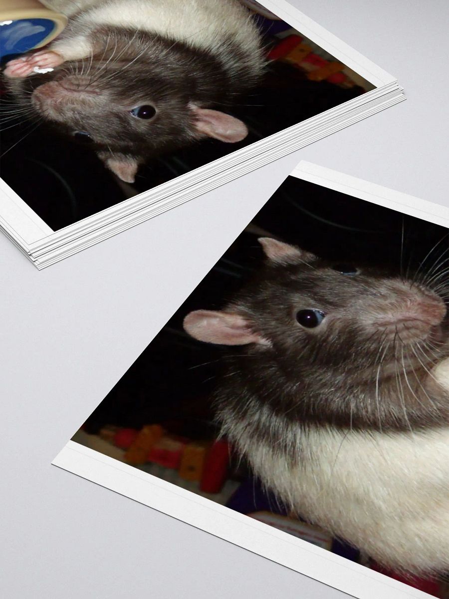 popcorn rat sticker product image (10)
