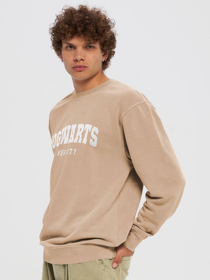 Hogwarts University Sweater product image (2)