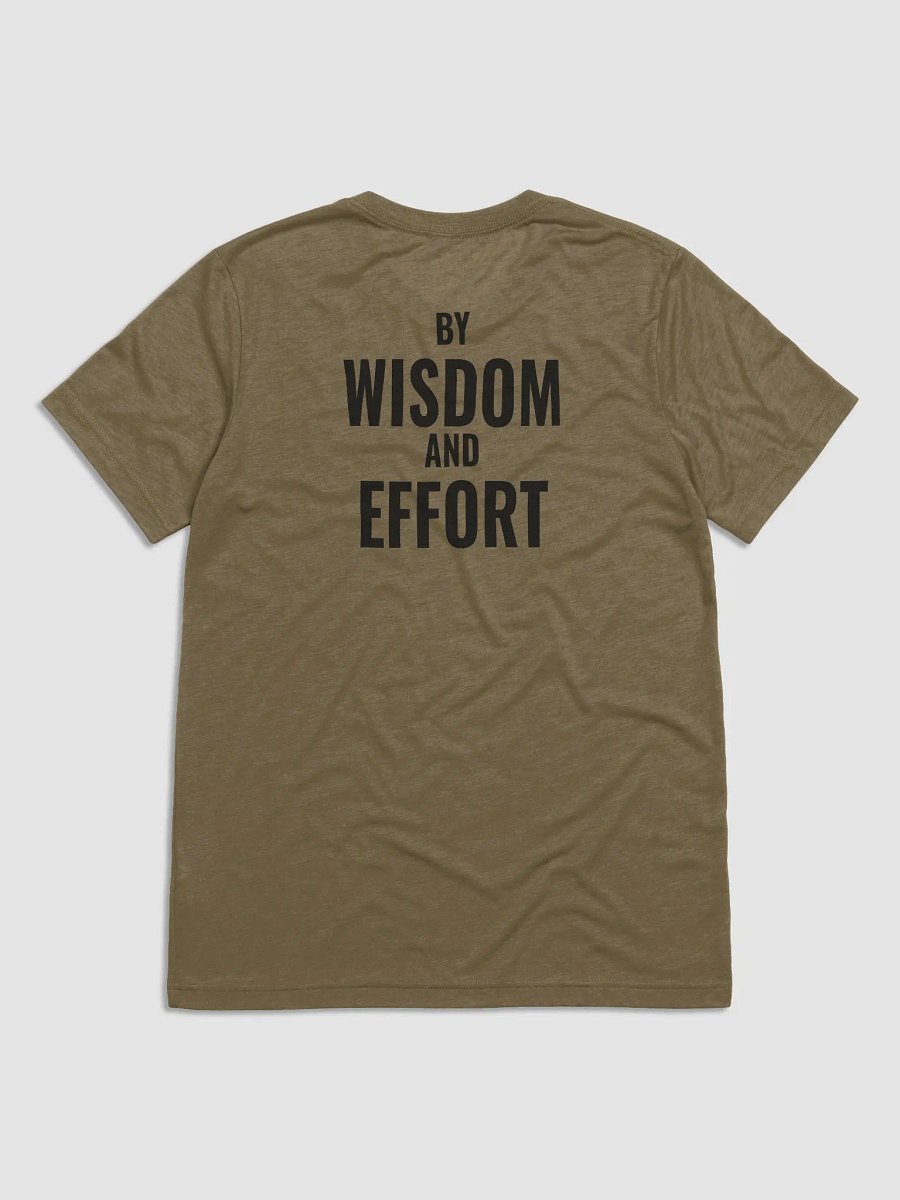 Tri-Blend T-Shirt product image (14)