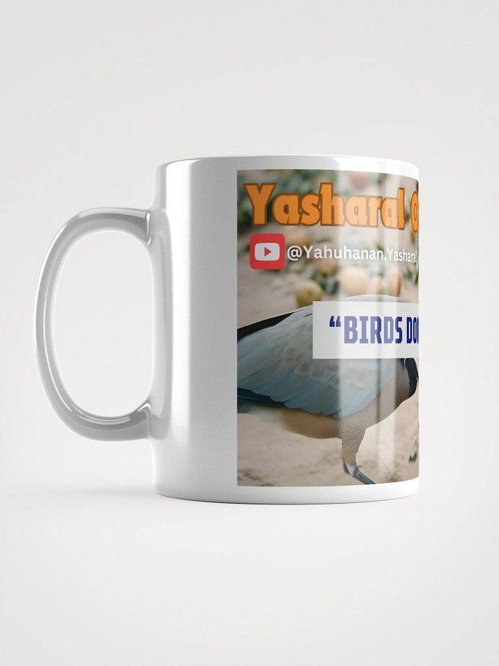 Yasharal Original Music: Birds Dont Have A Job Mug product image (1)