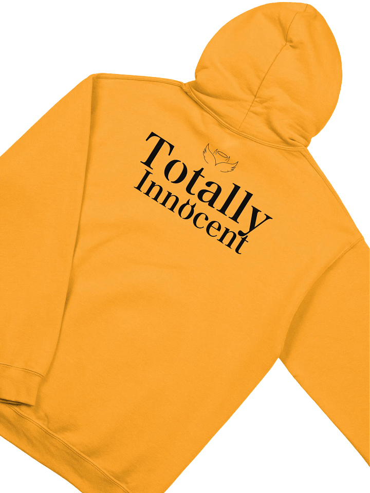 Totally Innocent Hoodie product image (2)