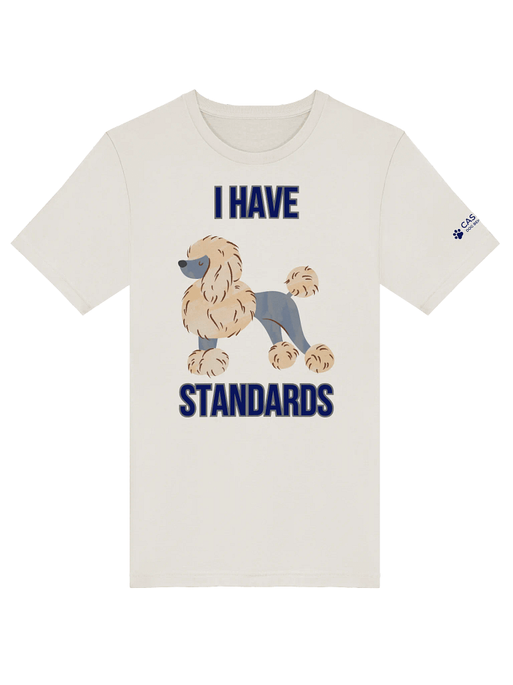 I HAVE STANDARDS T-Shirt product image (1)