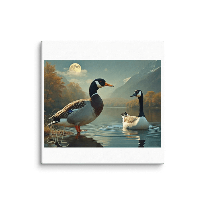 A Duck & A Goose product image (1)