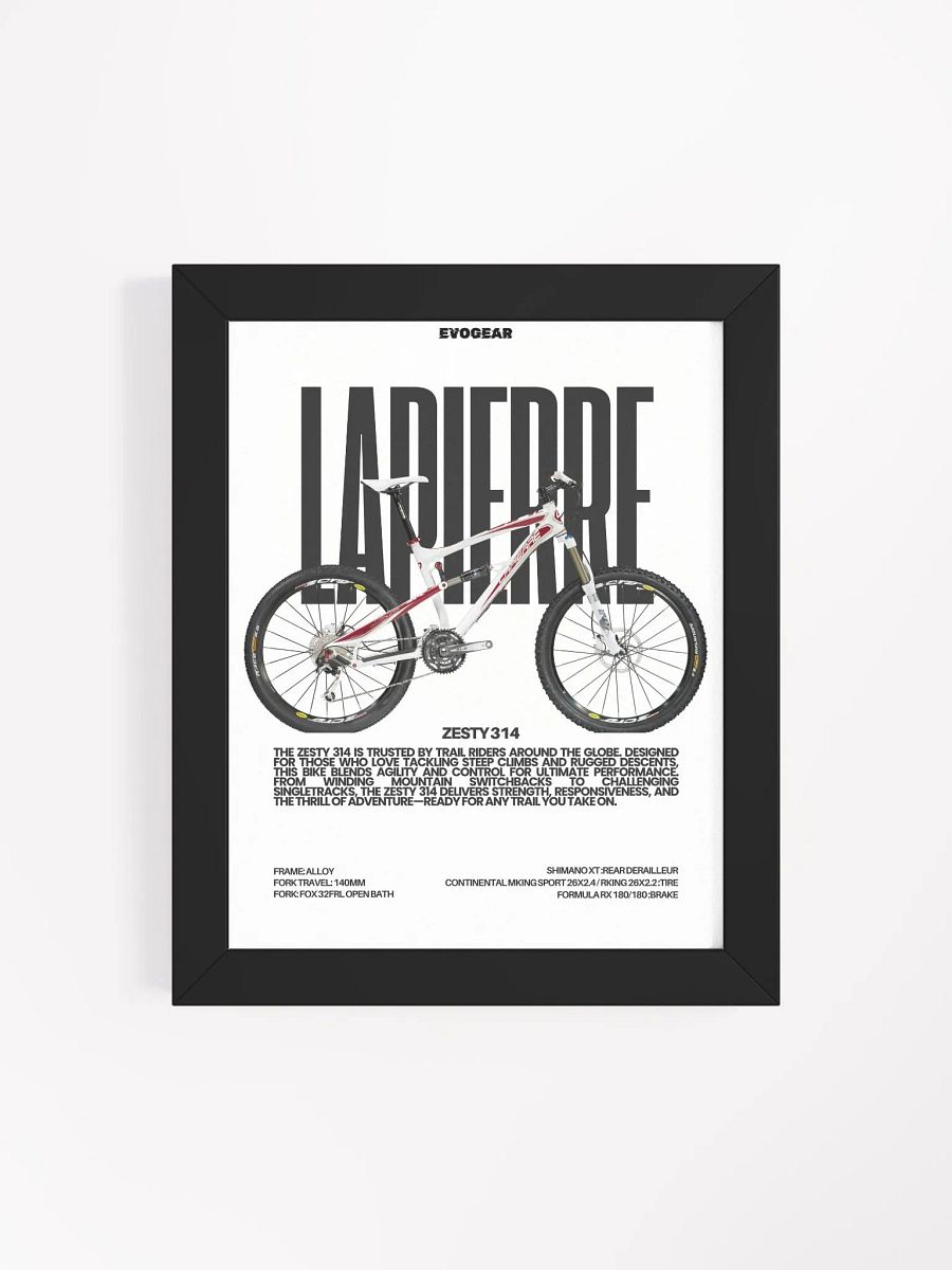 Lapierre ZESTY 314 2010 Frame product image (4)