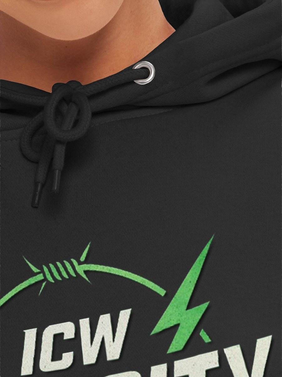ICW Velocity Logo Hoodie product image (14)